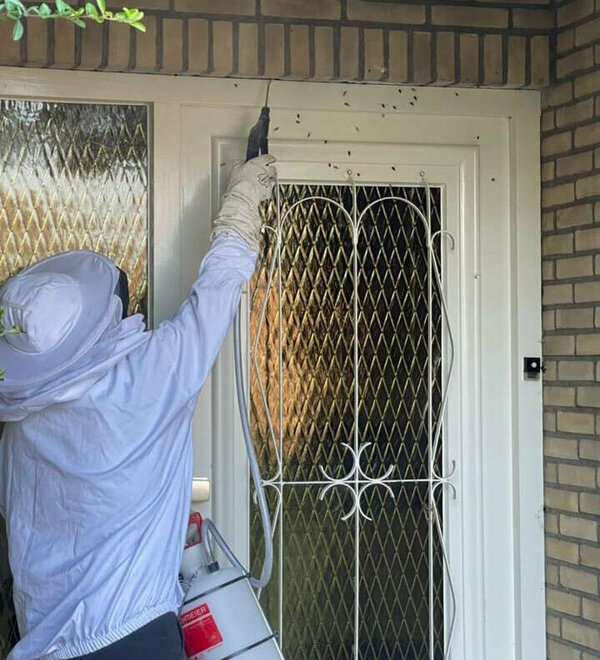 mark ongediertebestrijding5.jpg