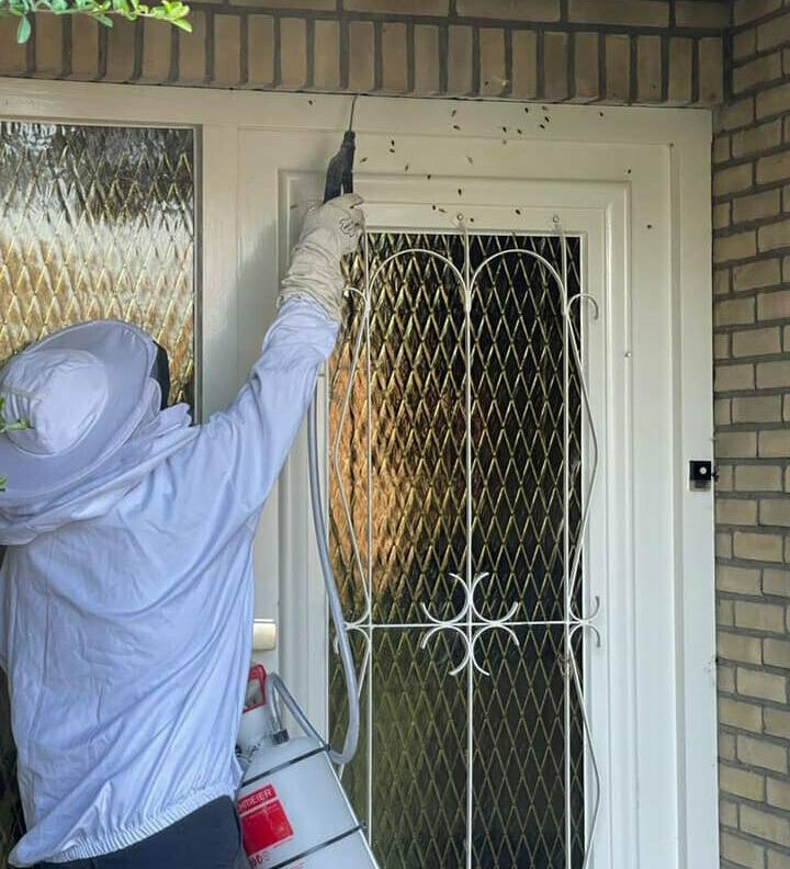 mark ongediertebestrijding5.jpg