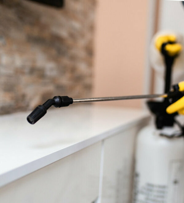 shutterstock_1289069380 1.jpg