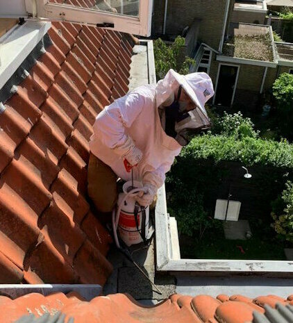 mark ongediertebestrijding2.jpg